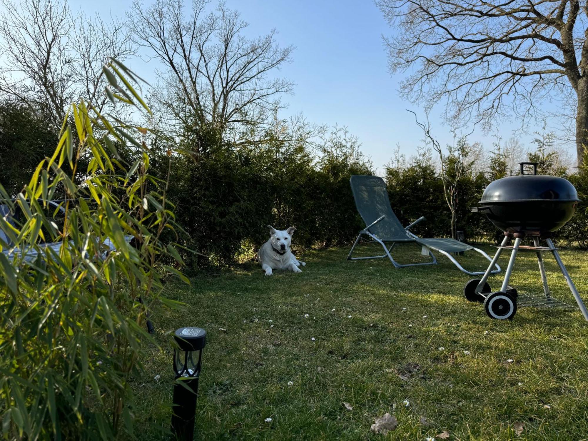 Ferienwohnung Am See Dillich - Ruhige Lage - Eigener Garten - Direkt Neben Einem Natursee Borken  Bagian luar foto