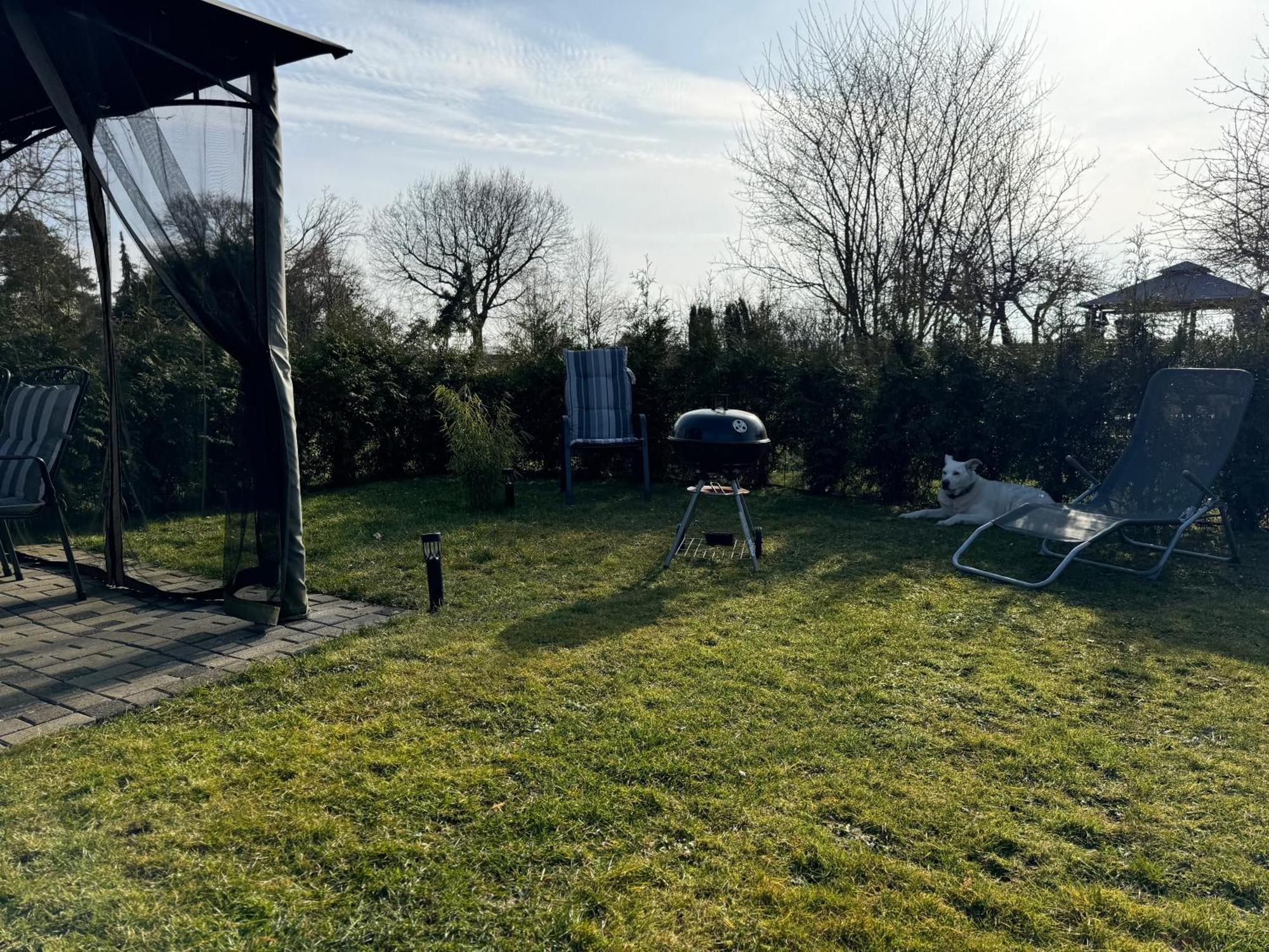 Ferienwohnung Am See Dillich - Ruhige Lage - Eigener Garten - Direkt Neben Einem Natursee Borken  Bagian luar foto